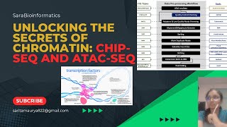 Unlocking the Secrets of Chromatin ChIPseq and ATACseq  CHIPSeq  ATACSeq bioinformatics [upl. by Notsnhoj]