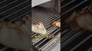 自动猪脚去毛机猪耳朵烧毛处理Automatic Pig Foot Hair Removal Machine For processing pig ears by burning off hair [upl. by Hutt92]