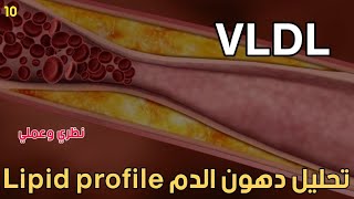 ال VLDL كل حاجه عنه [upl. by Harwin]