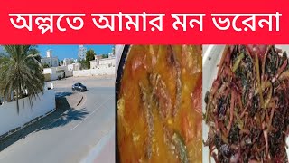 মানুষ কম রান্নাকরি বেশিঅল্পতে আমার মন ভরেনা 😊 peoplecooklessandmore [upl. by Yelrehs]