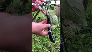 Chemical mixing shortsvideo farming vegetablefarming fruit agriculture chemical formalin [upl. by Emyle]