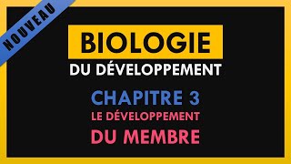 Biologie de développement  Chapitre 3  Le développement du membre [upl. by Tristram122]