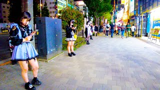 Akihabara in Tokyo 🐶🍻 Moe Moe Night ♪ 💖 4K ASMR nonstop 1 hour 01 minutes [upl. by Hubey624]