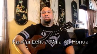 Ka Wai Lehua Aala Ka Honua on Ukulele High G [upl. by Nahsed204]