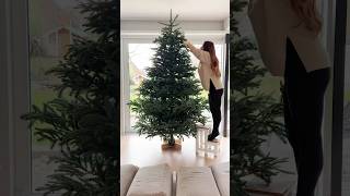 Tannenbaum aufstellen amp schmücken 🎄 mit der ganzen Familie 😍 shorts Mamiseelen [upl. by Ellennod]