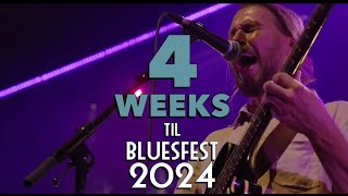 Bluesfest 2024  4 Weeks To Go [upl. by Cheyney]