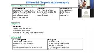 Hematology 14a  Lymphadenopathy splenomegaly and hypersplenism [upl. by Nare]