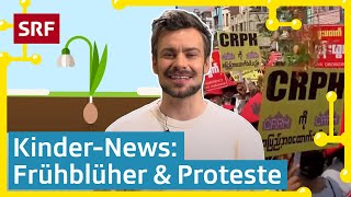 GymiPrüfung Proteste in Burma amp Frühblüher  KinderNews  SRF Kids – Kindervideos [upl. by Ardien]