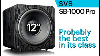 SVS SB1000 Pro Affordable 12quot subwoofer Probably the best in its class [upl. by Lynette475]