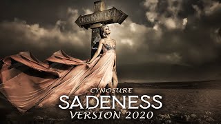 Enigma  Sadeness Part 1 Cover by Igor Gorelov 2020💖 [upl. by Hamirak]