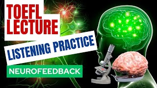 TOEFL Lecture Listening Neurofeedback [upl. by Riordan695]