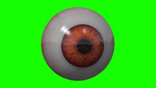 real human eye looking around in green screen [upl. by Brenn]