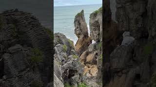 Pancake rocks punakaiki travel newzealandnature newzealand mountains nature newzealandtourism [upl. by Hickey736]