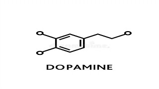 Dopamine Rush amp Repair  Morphic Field [upl. by Dorrie511]