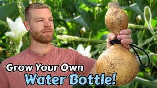 I Spent A Year Growing A Natural Water Bottle  Full Tutorial [upl. by Norry425]