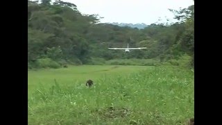 2005 Missions Avions  atterrissage à Goyongo  RDC  2mn [upl. by Labotsirc145]