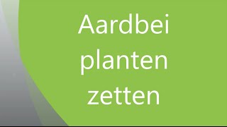 Aardbei planten zetten [upl. by Ennazzus77]