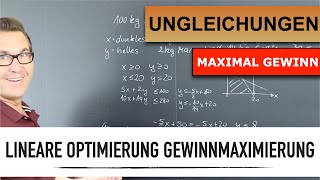 Lineare Optimierung  Maximalprinzip  rechnerische Lösung  Gewinnmaximierung  Ungleichungen [upl. by Doss314]