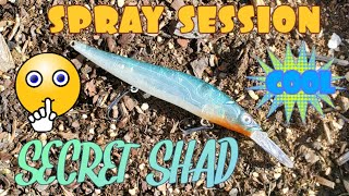 Megabass Blank Secret Shad [upl. by Hagar]