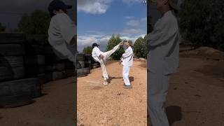 Taekwondo kick trick [upl. by Kcirdot]