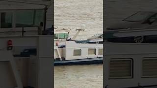 cargoship shipspotting on the rhine shipping tanker containership cruiseship rhein ship [upl. by Martell]