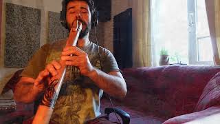 Ojibwe native song variation  native american style flute C key [upl. by Accisej]