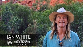 Ian White founder of Australian Bush Flower Essences Story [upl. by Susannah]