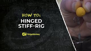 Hinged StiffRig With Dave Levy [upl. by Keviv]