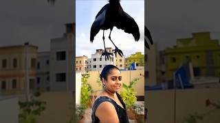 Woman transforms into a real Crow 🐦 in AGT Americas got talent 😱😂 Duo SchumacherAGTmagic [upl. by Nyvrem]