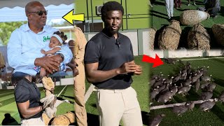 Cheddar Shared his Sad Story As he Established a big Guinea Fowl Farm At Bole ExPrez Mahama Hometown [upl. by Erund910]