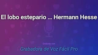 Audiolibro completo El lobo estepario por Hermann Hesse [upl. by Evannia501]