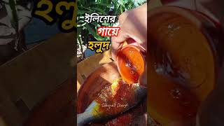 ইলিশের গায়ে হলুদ shorts trending shortvideo ytshorts youtubeshortsyoutubeforyousuminasdiary [upl. by Rob]