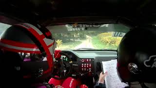 Rallye Terre du Vaucluse 2024  ES2  GendrauDarras  106 F212 [upl. by Nievelt]