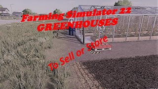 Farming Simulator 22 Greenhouse Selling Direct or Storing Which is better [upl. by Dniren]