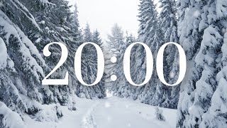 20 Minute Winter Snow Timer [upl. by Morrie]