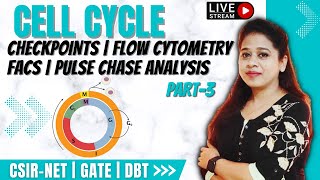 Cell Cycle 3 Checkpoints  Flow Cytometry FACS  Radioactive Thymidine Incorporation Assay [upl. by Adnilak]