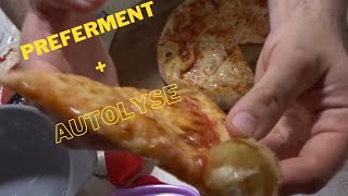 Evans Expert Pizza Dough Recipe Preferment  Autolyse Indirect Dough Method [upl. by Horace]