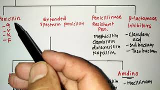 BLACTUM ANTIBIOTICS WITH TRICKS 1PENICILLIN  RRB PHARMACIST EXAM  GPAT  ESIC  PART 45 [upl. by Cathi542]