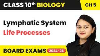 Lymphatic System  Life Processes  Class 10 Biology Chapter 5  CBSE 202425 [upl. by Eolhc]