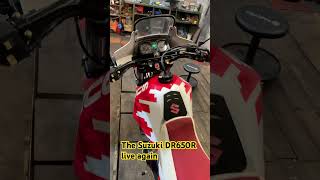 First start on the Suzuki DR650R Djebel [upl. by Heidy594]