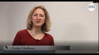 Cathy Clerbaux chercheuse en physique de latmosphère  Talents CNRS [upl. by Oringa]