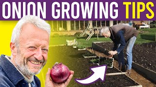 Onion 101 A Beginners Guide to Growing Onions and Spring Onions from Seed for Large Harvests [upl. by Yetti669]