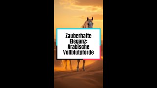 Zauberhafte Eleganz Arabische Vollblutpferde pferd eleganz [upl. by Onra304]