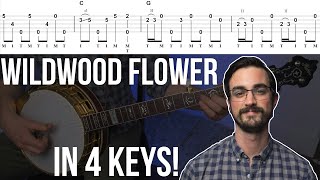 Clawhammer Banjo Song and Tab of the Week  quotWildwood Flowerquot [upl. by Nnylylloh220]