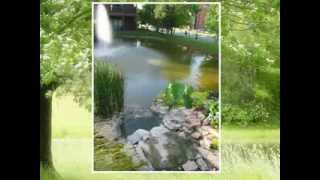 Westgate Branson Woods Resort Photo Show [upl. by Agnizn]