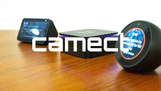 Camect Camera Feeds and Alert History On Amazon Alexa devices [upl. by Dyraj]