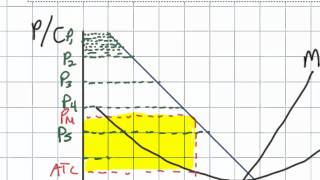 First Degree Price Discrimination and its Effect on Efficiency in a Monopolistic Market [upl. by Barb732]