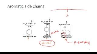 Determining Protonation State of Amino Acids [upl. by Anam]