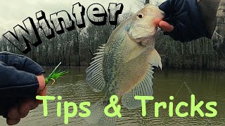 How to start Catching Winter Crappie with jigs and Bobbers  All in One Video [upl. by Nylear]