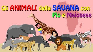 Gli Animali della Savana con Pio e Maionese animali buffi versi safari per bambininomi in inglese [upl. by Netsrejk]